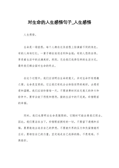 对生命的人生感悟句子_人生感悟