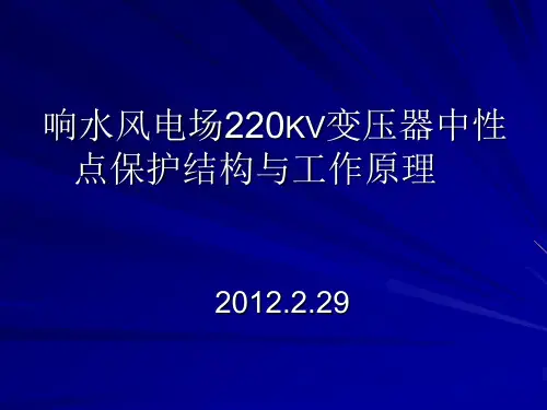 220KV变压器中性点(讲课)