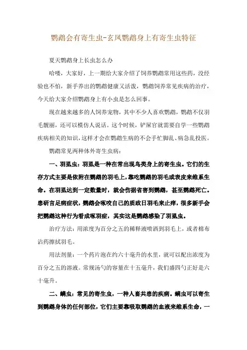鹦鹉会有寄生虫-玄凤鹦鹉身上有寄生虫特征