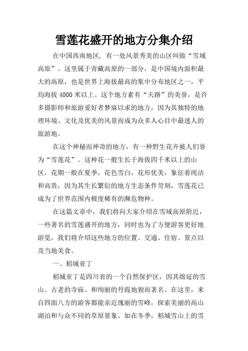 雪莲花盛开的地方分集介绍