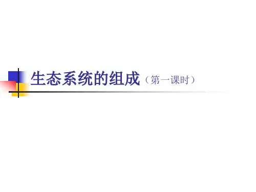 第一节 生态系统的组成课件(苏教版)