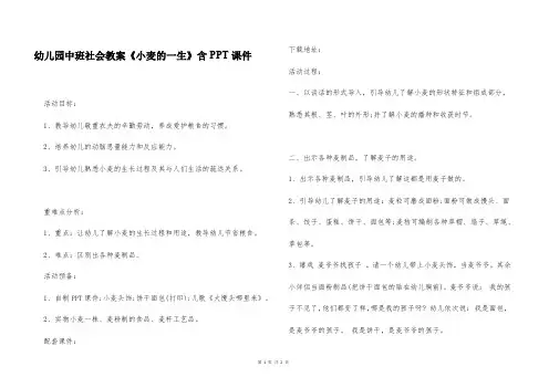 幼儿园中班社会教案《小麦的一生》含PPT课件