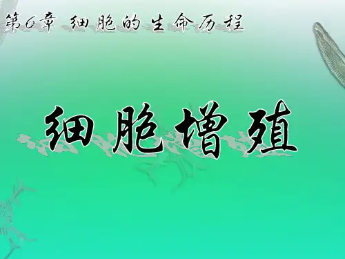 【公开课课件】必修一6.1 细胞增殖