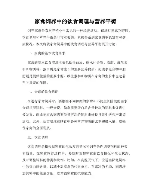 家禽饲养中的饮食调理与营养平衡