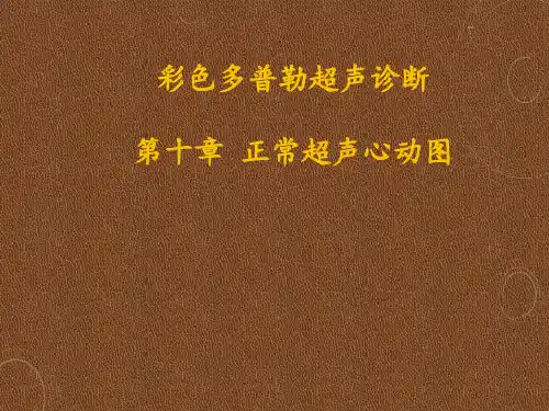 正常超声心动图