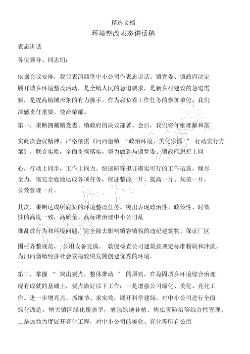 环境整治表态发言稿