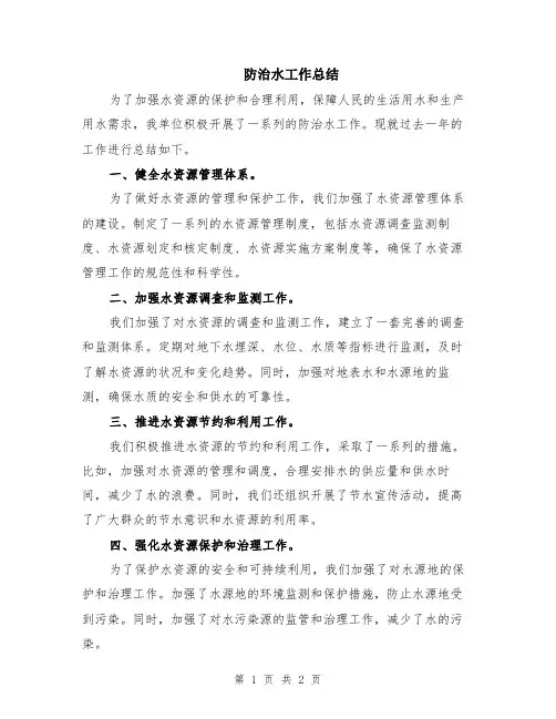 防治水工作总结