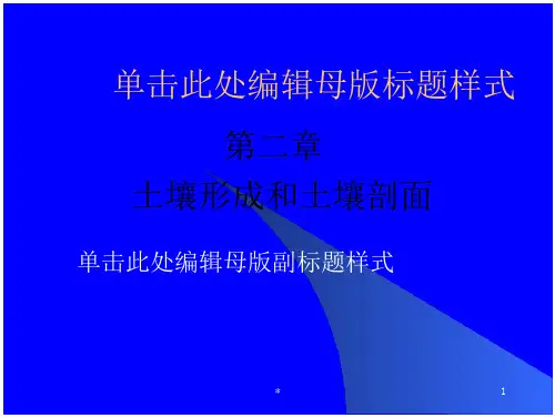 土壤形成与土壤剖面
