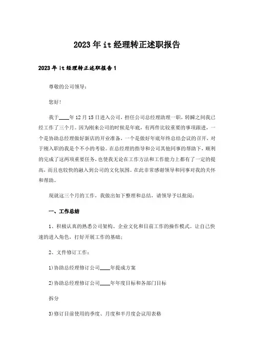 2023年it经理转正述职报告