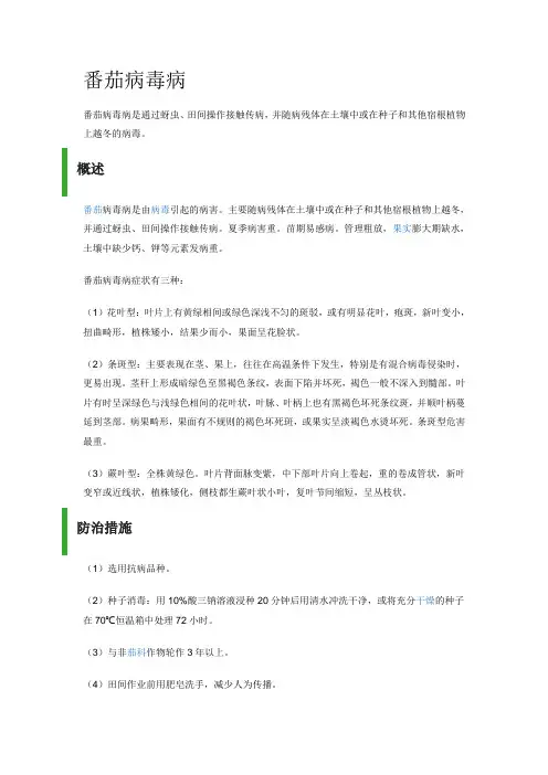 番茄病毒病