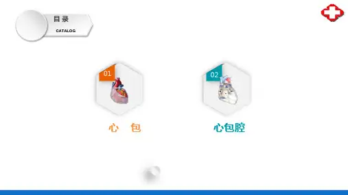 心血管系统—心(正常人体结构课件)