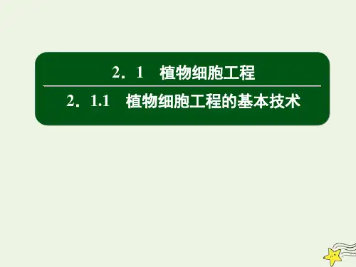 2020_2021学年高中生物专题2细胞工程1_1植物细胞工程的基本技术课件新人教版选修3