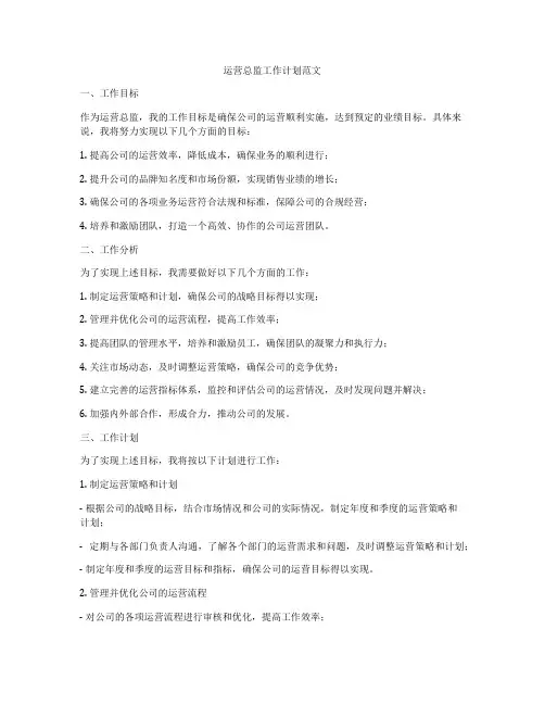 运营总监工作计划范文