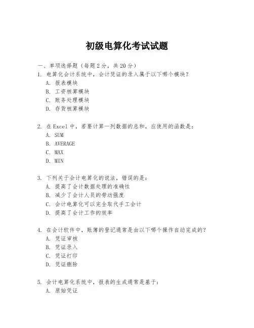初级电算化考试试题