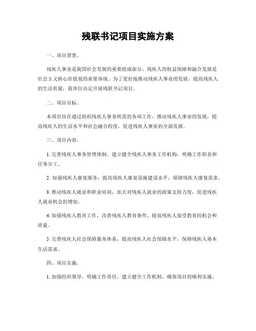残联书记项目实施方案