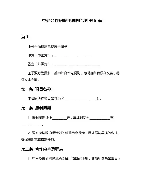 中外合作摄制电视剧合同书5篇