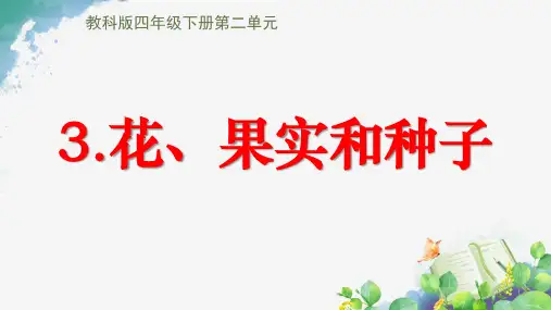 教科版科学四年级下册《花、果实和种子》课件