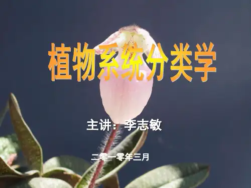 植物学分类系统