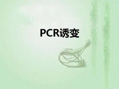 PCR诱变