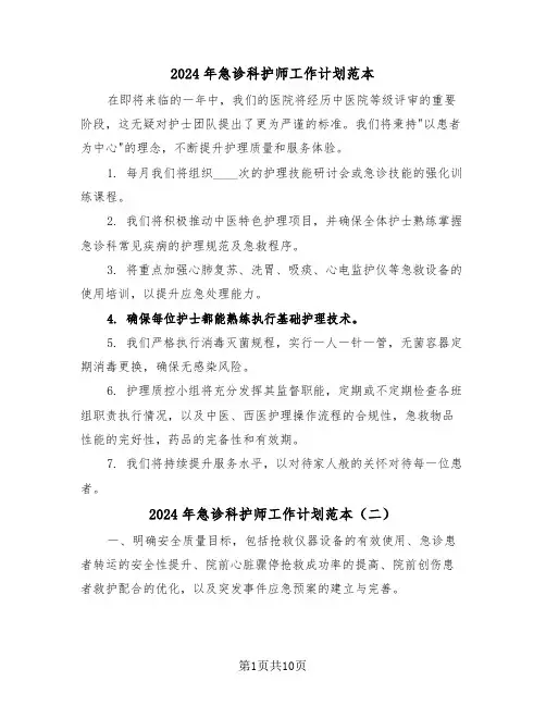 2024年急诊科护师工作计划范本（六篇）