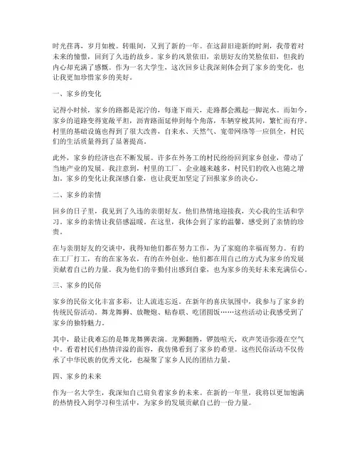 大学生新年回乡感言
