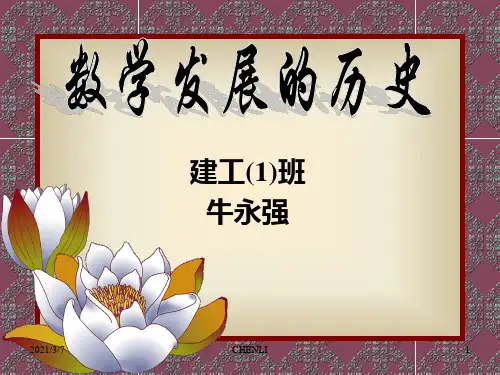 数学发展的历史PPT课件