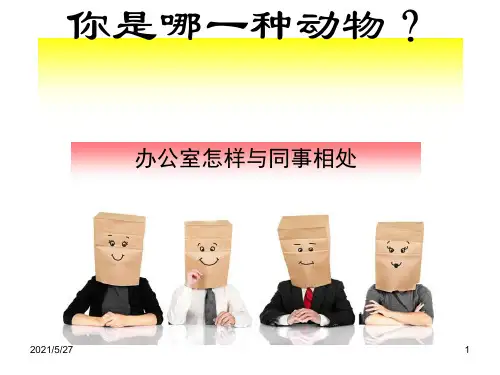 性格测试(考拉孔雀老虎猫头鹰)98058