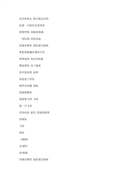 飞鱼文本歌词
