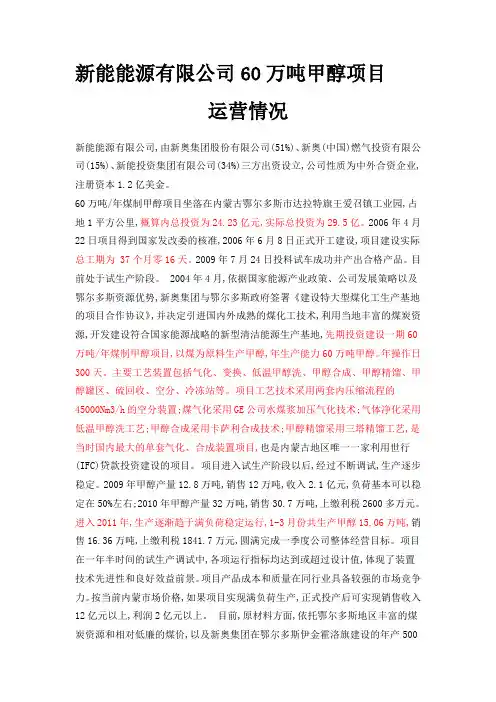 新能能源有限公司60万吨甲醇项目