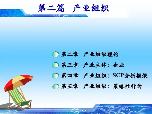 02产业组织理论