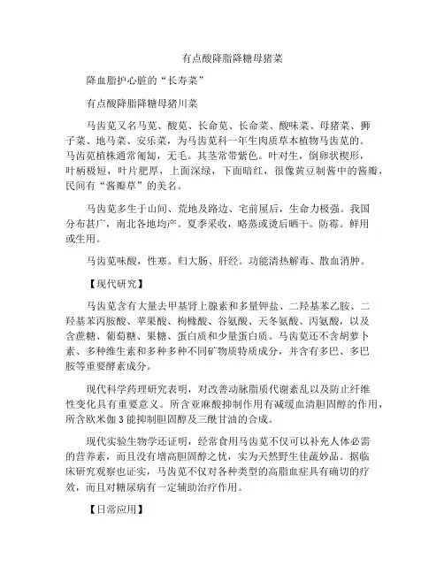 有点酸降脂降糖母猪菜