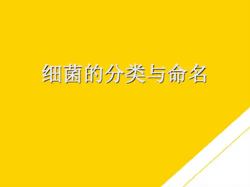 细菌的分类与命名(最全版)PTT文档