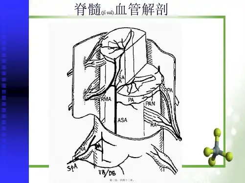 202X年脊髓血管病(张宝荣-)