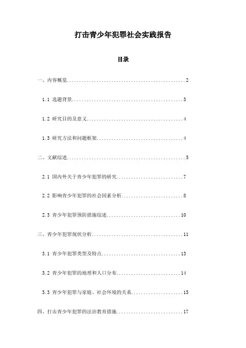 打击青少年犯罪社会实践报告