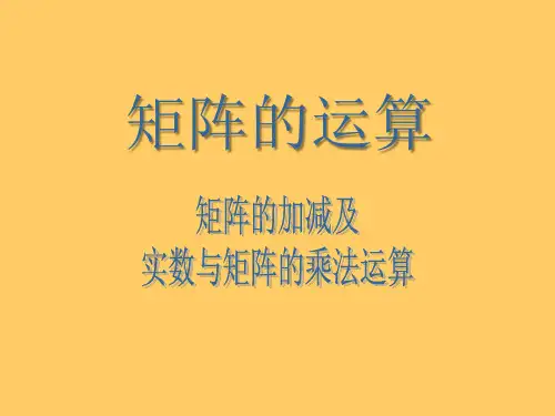 沪教版(上海)高二数学上册9.2矩阵的运算_课件