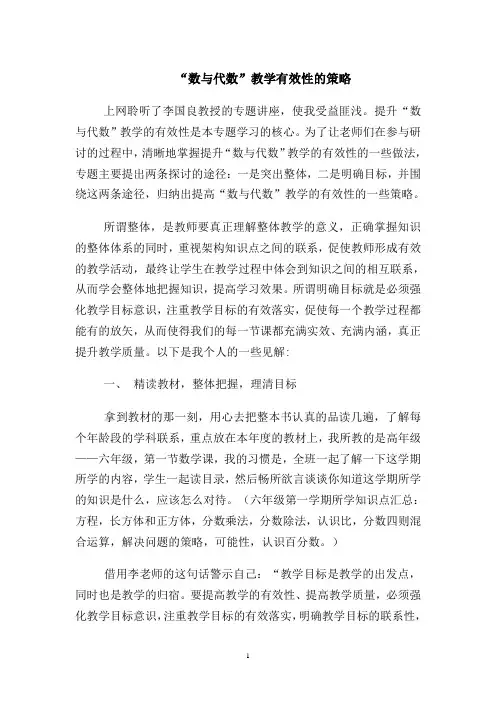 数与代数教学的有效性