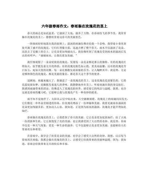 六年级春雨作文：春雨躲在玫瑰花的茎上