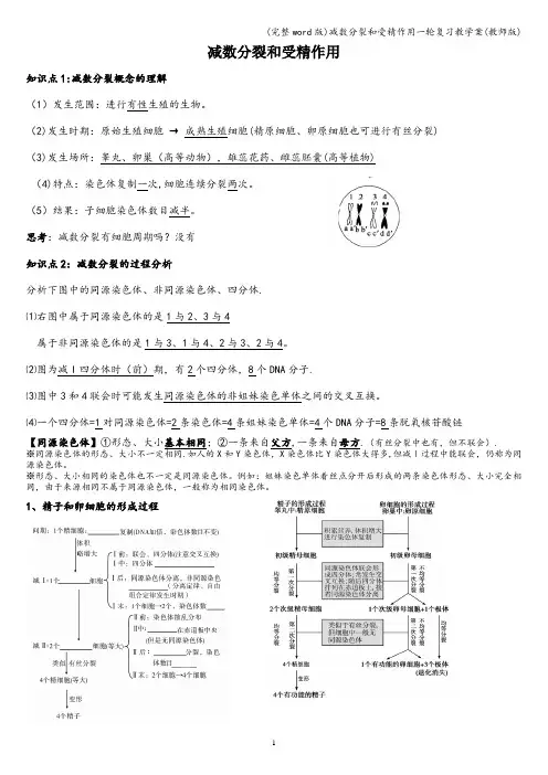 (完整word版)减数分裂和受精作用一轮复习教学案(教师版)