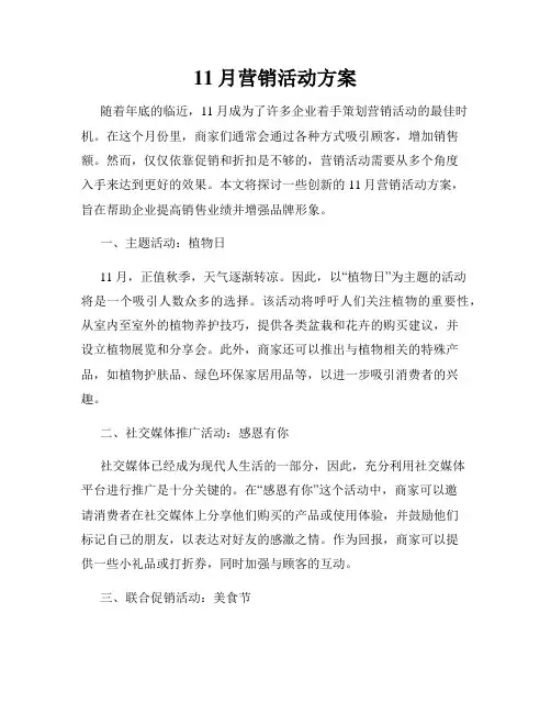 11月营销活动方案