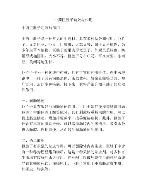 中药巨胜子功效与作用
