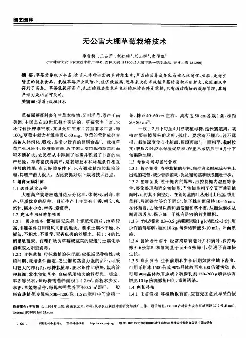 无公害大棚草莓栽培技术