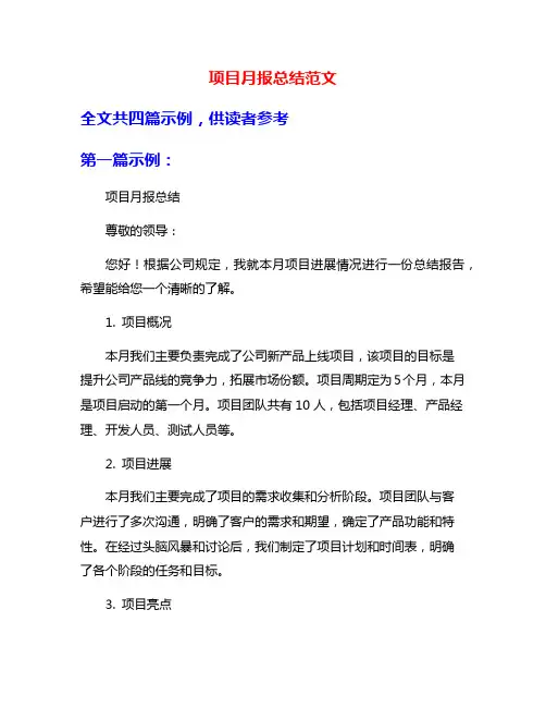 项目月报总结范文