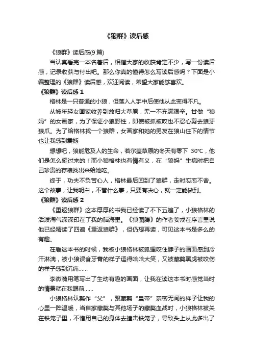 《狼群》读后感