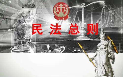 民法总则稿 (1)