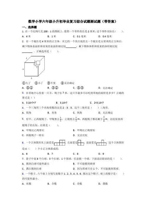 数学小学六年级小升初毕业复习综合试题测试题(带答案)
