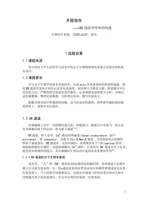 毕业设计开题报告