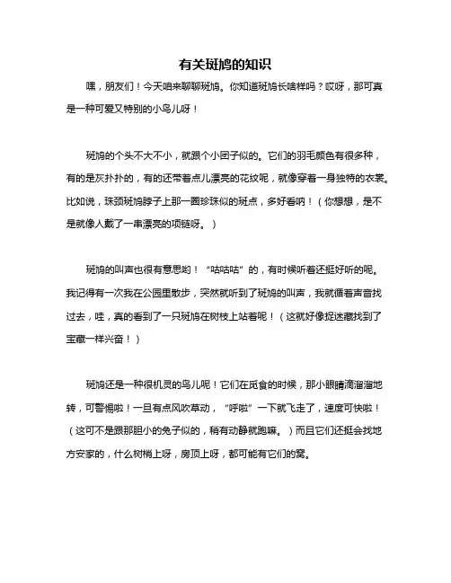 有关斑鸠的知识