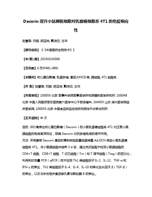 Decorin提升小鼠脾脏细胞对乳腺癌细胞系4T1的免疫响应性