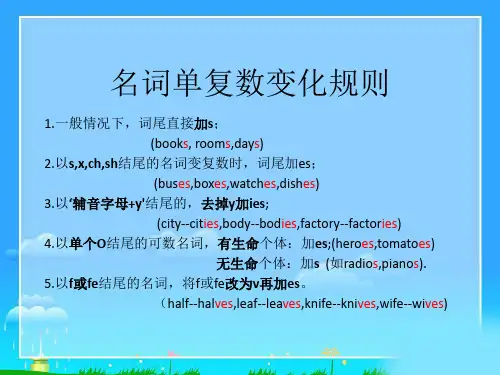 名词单复数变化规则及现在进行时结构