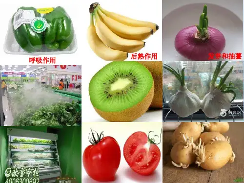 烹饪原料知识课件第一章第四节  烹饪原料的保管